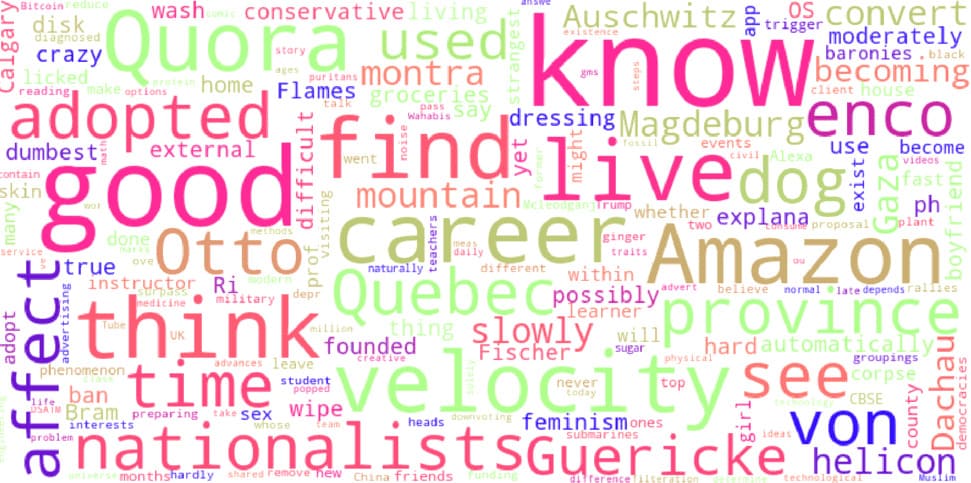 Insincere Questions - Word Cloud