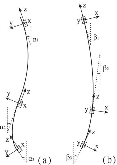 Calculation of Trunk Posture